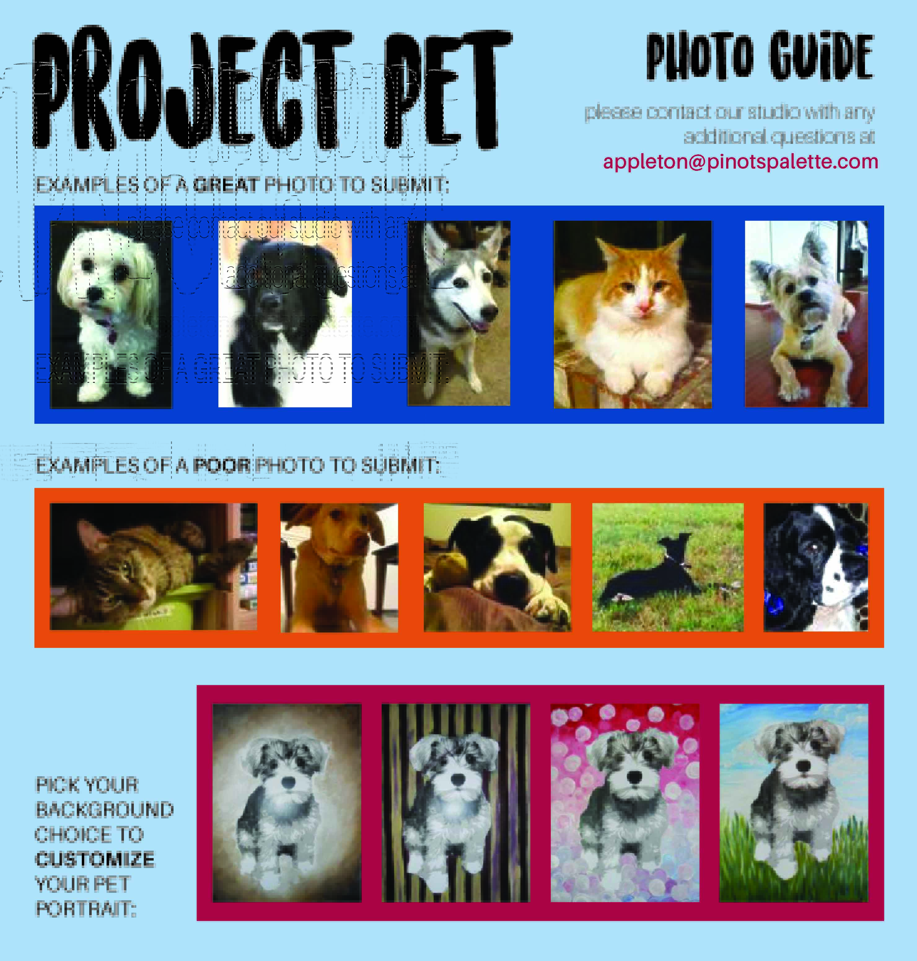Project Pet Photo Guide